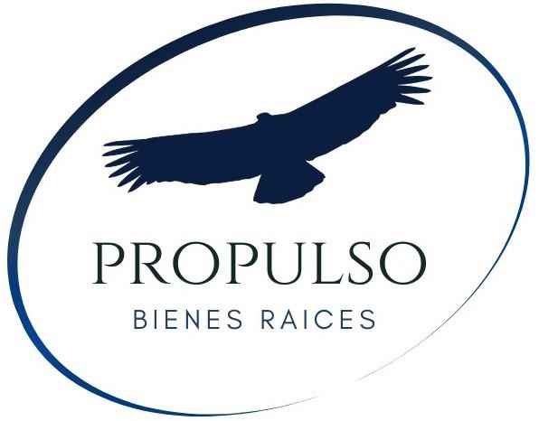 Propulso Bienes Raices