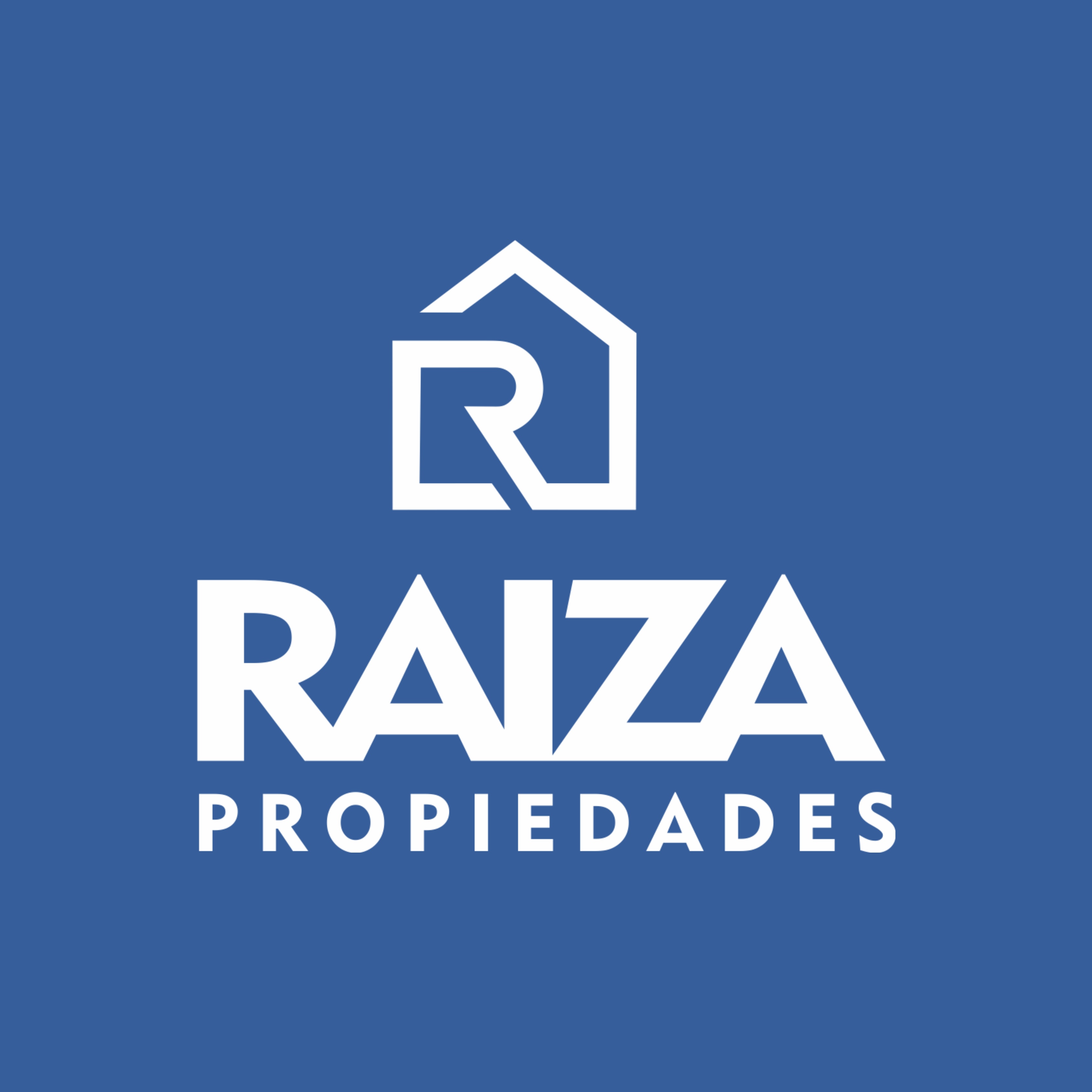 Raiza Propiedades