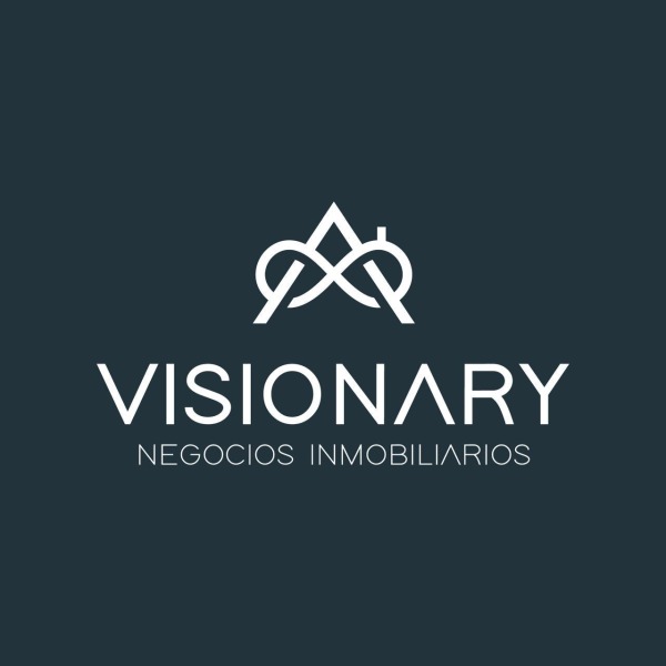 Visionary- Negocios Inmobiliarios